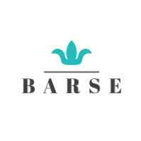 Barse Jewelry