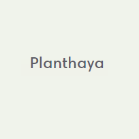Planthaya