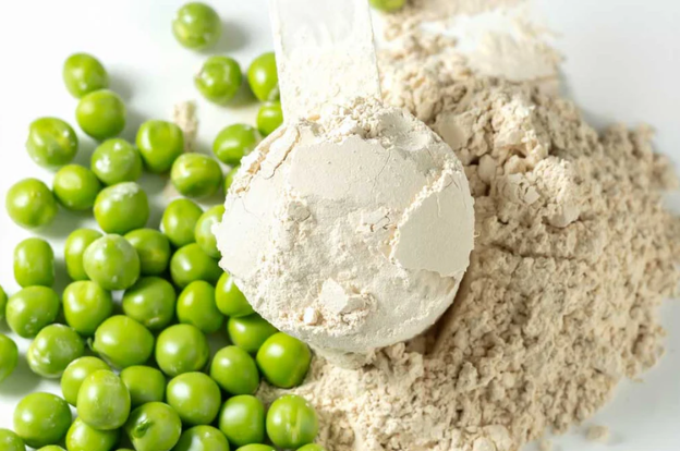 plant-based-protein-powder