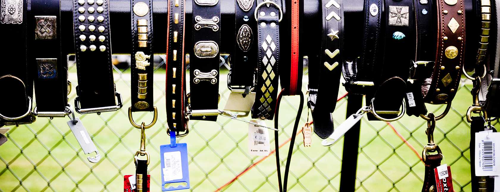 shopping-dogs-products-cartsaviour.com